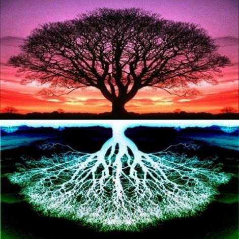 Full Drill - 5D DIY Diamond Painting Kits Colorful Fantasy Tree Different Reflection