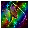Full Drill - 5D DIY Diamond Painting Kits Cartoon Colorful Dream Butterfly