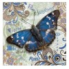 Full Drill - 5D DIY Diamond Painting Kits Cartoon Butterfly