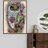 Full Drill - 5D DIY Diamond Painting Kits Colorful Cool Cartoon Owl