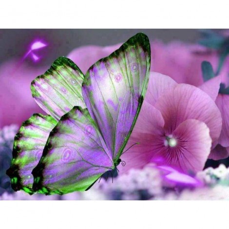 Full Drill - 5D DIY Diamond Painting Kits Beautiful Butterfly Flowers