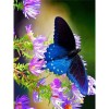 Full Drill - 5D DIY Diamond Painting Kits Blue Butterfly And Flowers