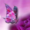 Full Drill - 5D DIY Diamond Painting Kits Dream Colorful Butterfly Flower