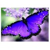 Full Drill - 5D DIY Diamond Painting Kits Blue Purple Butterfly