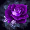 Full Drill - 5D DIY Diamond Painting Kits Pretty Purple Rose