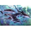 New Animal Dolphin Diy Diamond Painting Kits