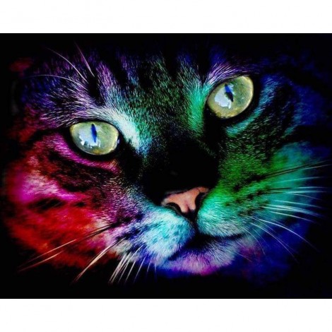 Full Drill - 5D DIY Diamond Painting Kits Colored Light Cat