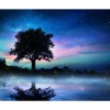 Dream Landscape Tree Sky Full Drill - 5D Diamond Painting Cross Stitch Kits