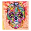 Full Drill - 5D DIY Diamond Painting Kits Cartoon Colorful Skull