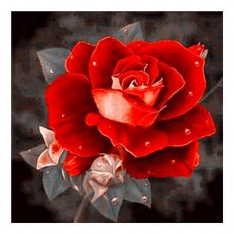 Full Drill - 5D DIY Diamond Painting Kits Special Pretty Rose