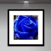 Full Drill - 5D DIY Diamond Painting Kits Beautiful Blue Rose