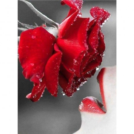 New Hot Sale Full Square Red Rose Full Drill - 5D Diy Diamond Painting Flowers