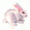 Full Drill - 5D Diamond Painting Kits Cute White Rabbit