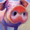 Full Drill - 5D Diamond Painting Kits Colored Drawing Pig