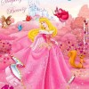 Full Drill - 5D Diamond Painting Kits Pink Cartoon Beautiful Kind Princess