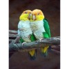 Full Drill - 5D DIY Diamond Painting Kits Loving Cute Parrots