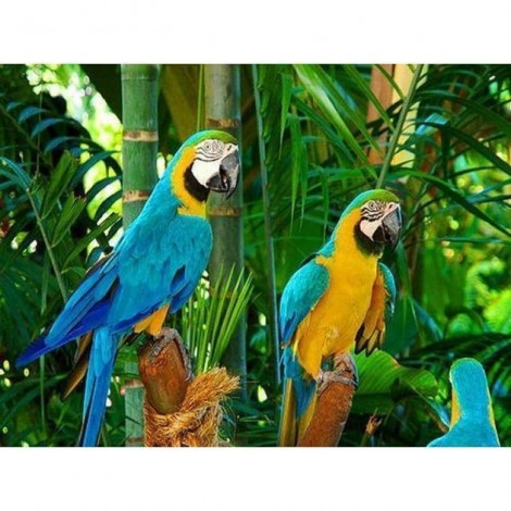 Full Drill - 5D DIY Diamond Painting Kits Cute Parrots