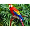 Full Square Drill Cute Parrot Full Drill - 5D Diy Embroidery Diamond Painting Kits