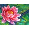 Full Drill - 5D Diamond Painting Kits Colored Drawing Red Lotus Floating on the Water