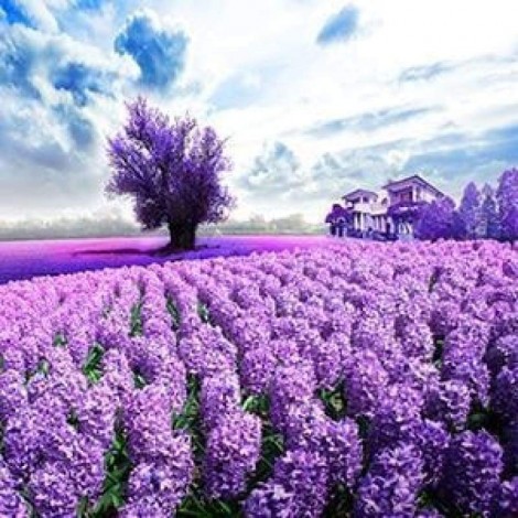 New Hot Sale Lavender Fields Picture Full Drill - 5D Diamond Painting Kits