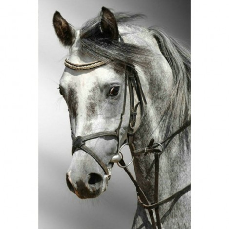New Hot Sale Horse Picture Full Drill - 5D Diy Diamond Painting Kits