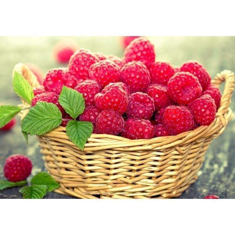 Fruits Strawberry Fu...