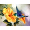 Full Drill - 5D DIY Diamond Painting Kits Affordable Bird And Flower