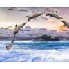 Full Drill - 5D DIY Diamond Painting Kits Dream Leaping Dolphins