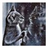 Full Drill - 5D DIY Diamond Painting Kits Winter Black And White Cat In Mirror