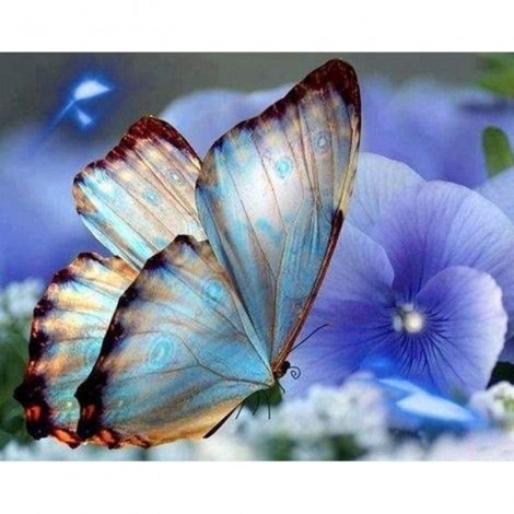 Full Drill - 5D DIY Diamond Painting Kits Beautiful Butterfly Blue Flowers