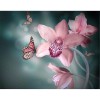 Full Drill - 5D DIY Diamond Painting Kits Butterfly on the Pink Flower