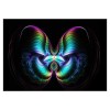 Full Drill - 5D DIY Diamond Painting Kits Abstract Colorful Butterfly