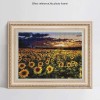 Full Drill - 5D DIY Diamond Painting Kits Sunset Plant Sunflower Field Scene