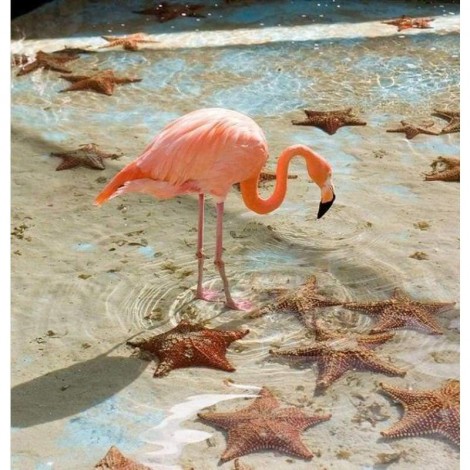 Full Drill - 5D DIY Diamond Painting Kits Pink Flamingo Starfish on the Beach