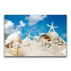 Full Drill - 5D DIY Diamond Painting Kits Shell Starfish on the Beach