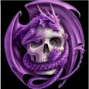 Full Drill - 5D DIY Diamond Painting Kits Purple Dragon Skull
