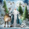 Full Drill - 5D DIY Diamond Painting Kits Special Winter Santa Claus