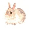 Full Drill - 5D Diamond Painting Kits Cartoon Cute Rabbit