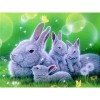 Full Drill - 5D DIY Diamond Painting Kits Cartoon Warm Rabbit Family on the Grass