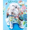 Full Drill - 5D Diamond Painting Kits Watercolor Rabbit