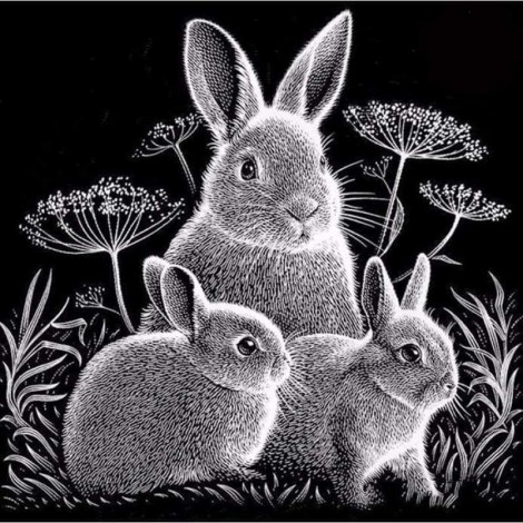 Full Drill - 5D DIY Diamond Painting Kits Black White Cute Rabbit Family