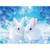 Full Drill - 5D DIY Diamond Painting Kits Winter White Rabbits