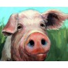 Full Drill - 5D DIY Diamond Painting Kits Special Pig Blowing in the Wind