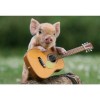 Full Drill - 5D DIY Diamond Painting Kits Funny Pig Baby Playing the Guitar