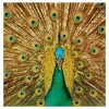 Full Drill - 5D DIY Diamond Painting Kits Gold Modern Artistic Peacock