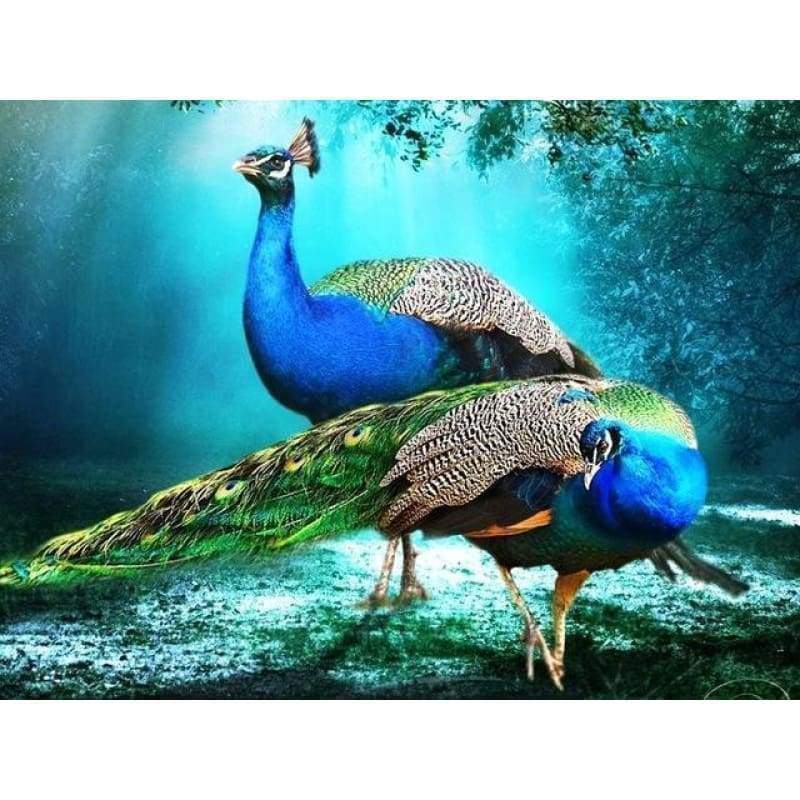 Dream Peacock Needle...
