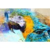 Full Drill - 5D Diamond Painting Kits Colored Drawing Parrot