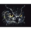 Full Drill - 5D DIY Diamond Painting Animal Owl Embroidery  Art Kits UK