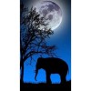 New Dream Night Sky Moon Elephant Full Drill - 5D Diy Diamond Painting Kits