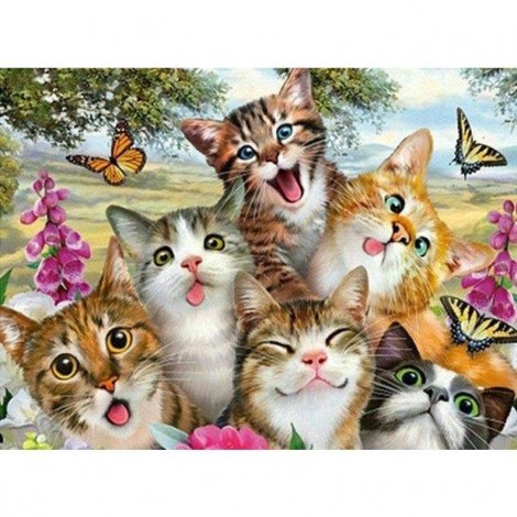 Crazy Cats - Full Drill Diamond Painting -